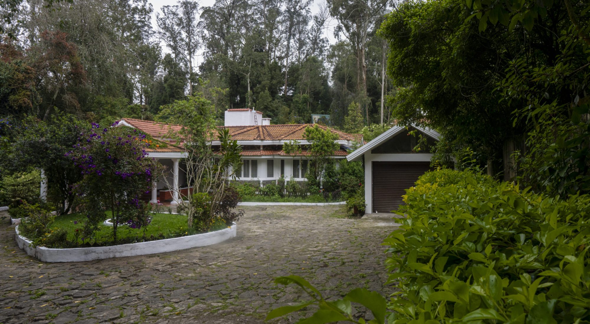 DSC07545